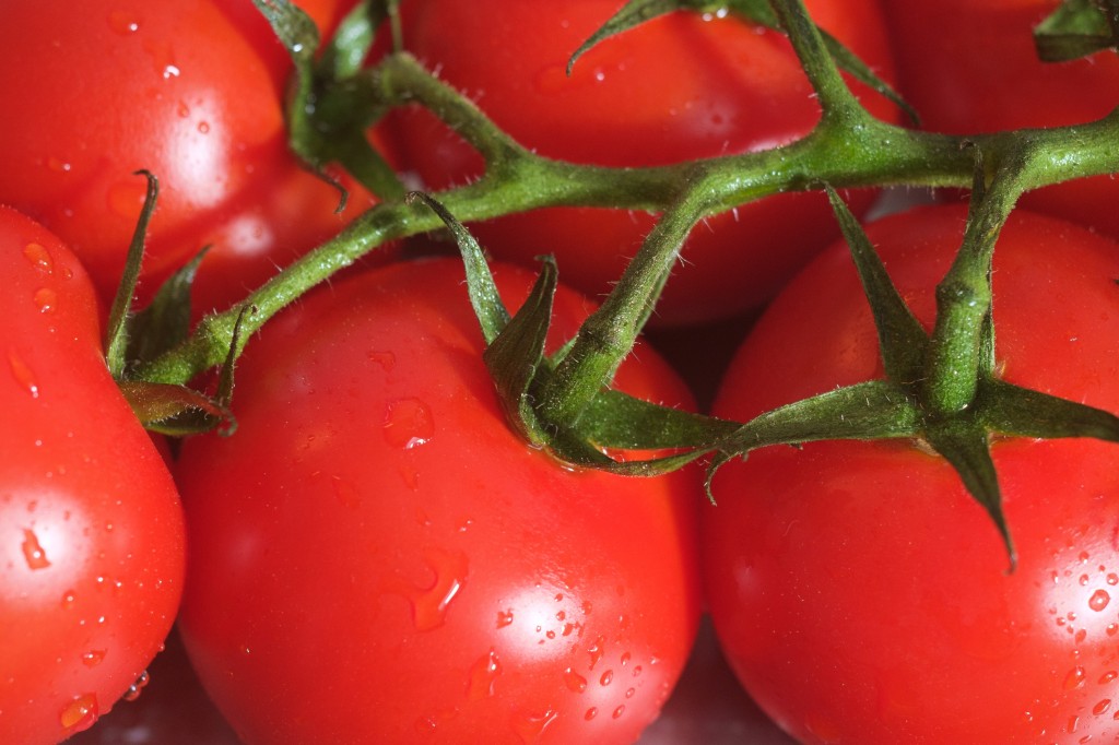 Aromatische Tomaten
