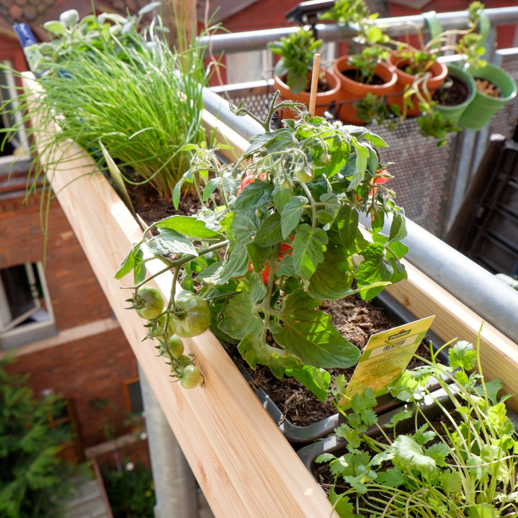 Kräuterkästen für den Balkon Cuisinenbomber