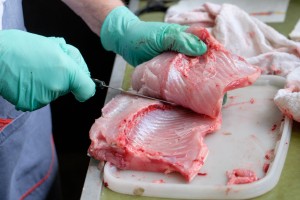 Den Körper der Fisches kann man z.B. in Filets zerlegen und dann panieren.